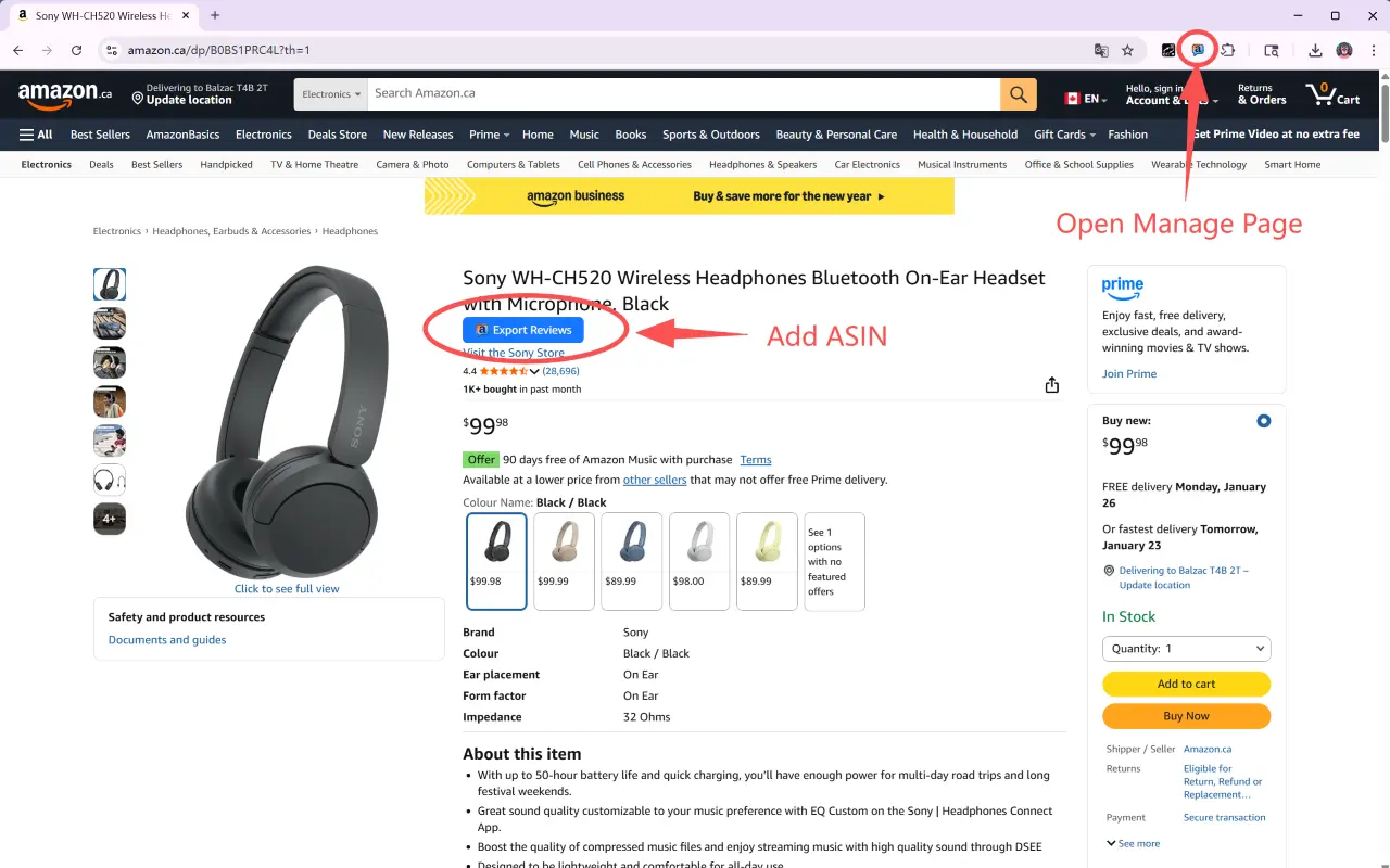 Pasting a list of ASINs into the extension's scraping queue